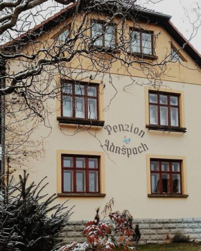 Гостиница Penzion Adršpach Báry a Hynka  Горни Адршпах